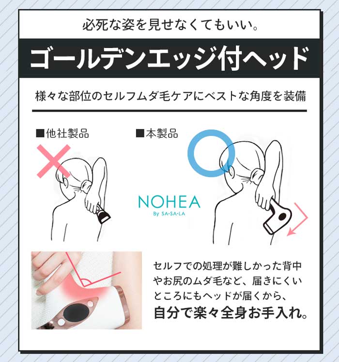 ゴールデンエッジ付ヘッド