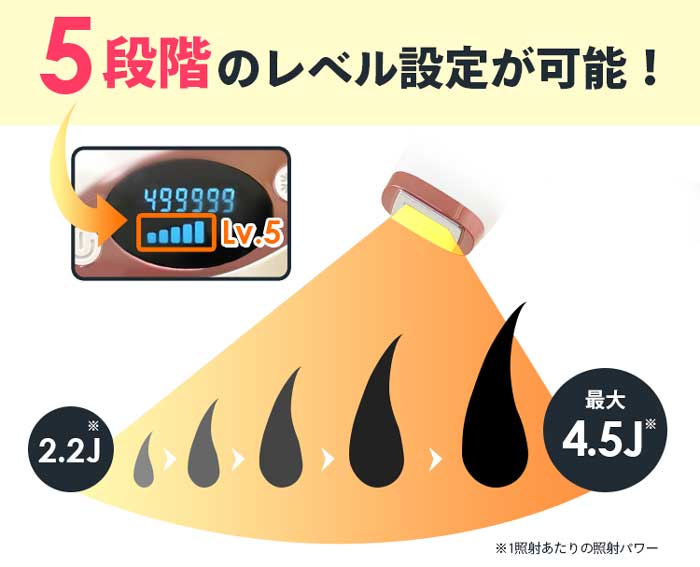 5段階のレベル